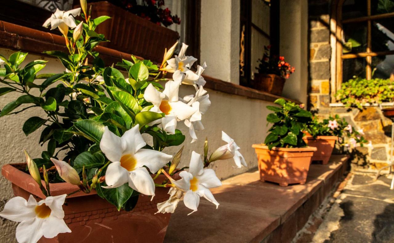 מונטסני Hostal Montserrat מראה חיצוני תמונה