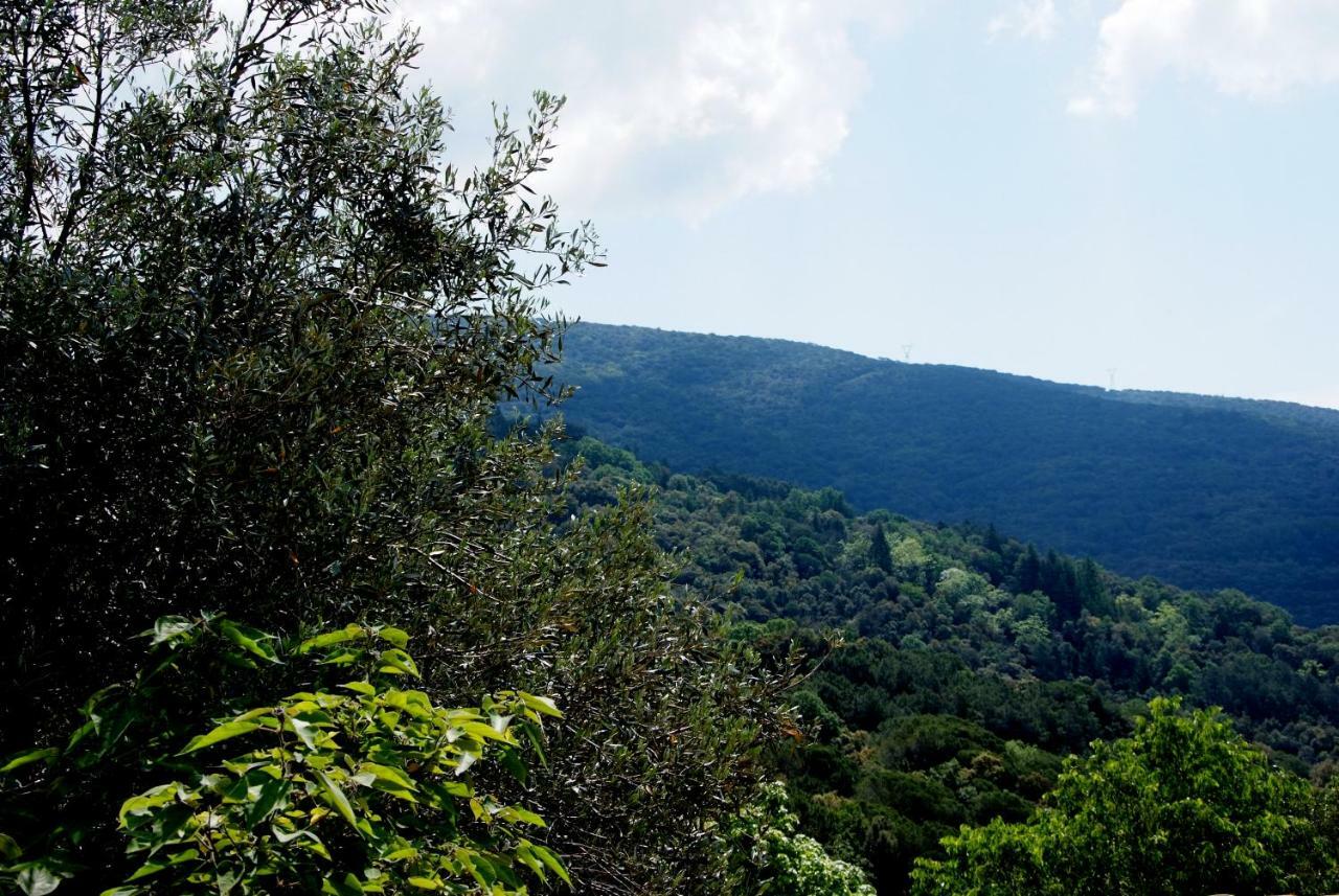 מונטסני Hostal Montserrat מראה חיצוני תמונה