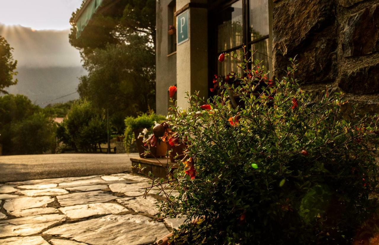 מונטסני Hostal Montserrat מראה חיצוני תמונה